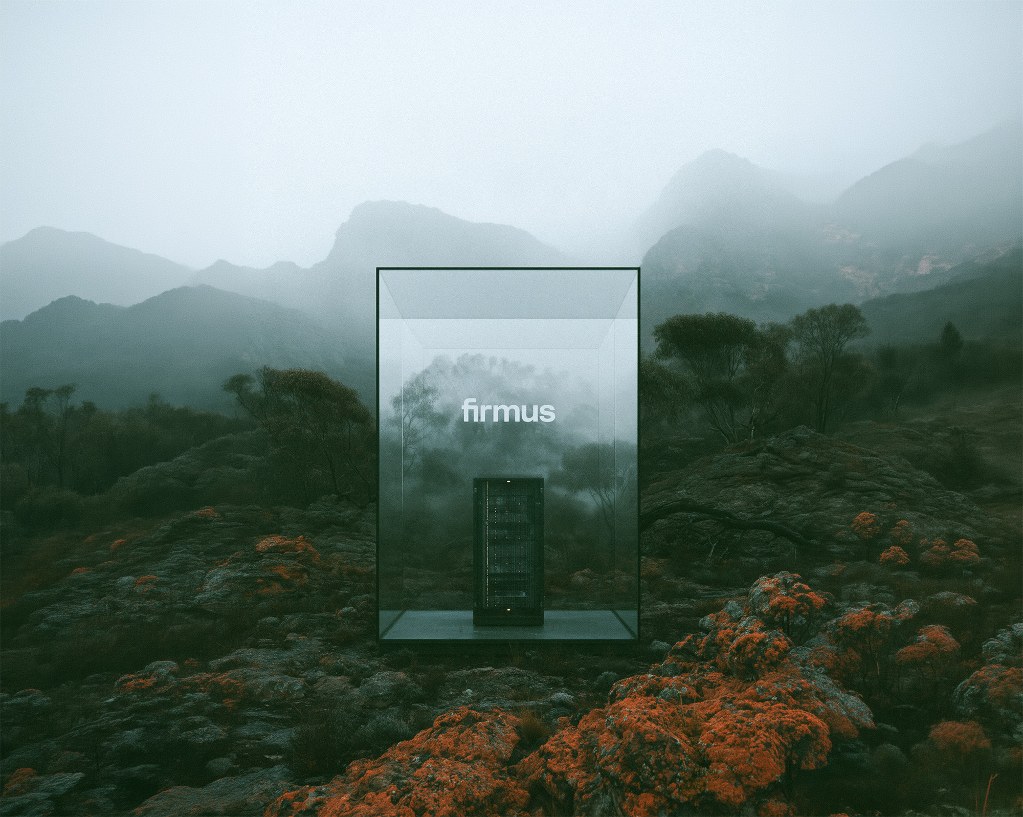 Firmus IPO